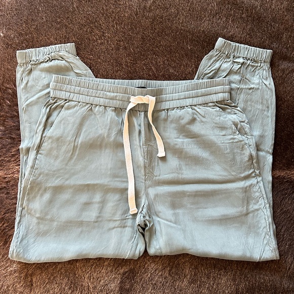 J CREW ECO CUPRO HOWARD JOGGERS Slate Green - Picture 7 of 8